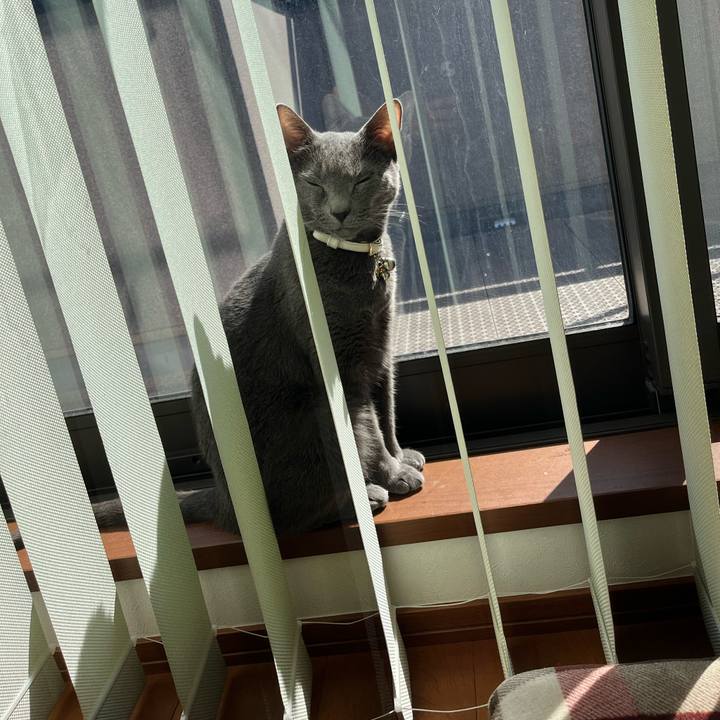 C517c090 a36a 47da b234 7f7598ada846 1709975683287