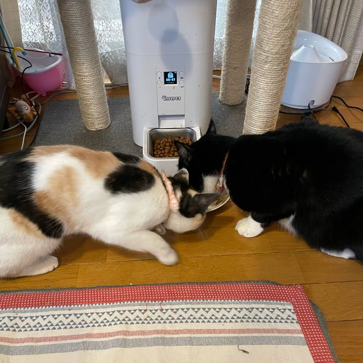 C517cccc 17c9 4c50 95f1 591466b7e3ad 1669069075204