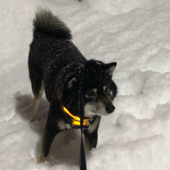 C51804ae b46c 4606 a608 c49d14908f79 1579517319159