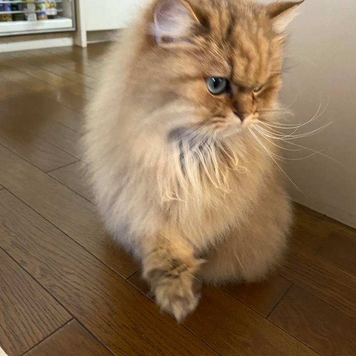 C5180b11 e466 4e0b b39e f8b6855783b0 1615943134303