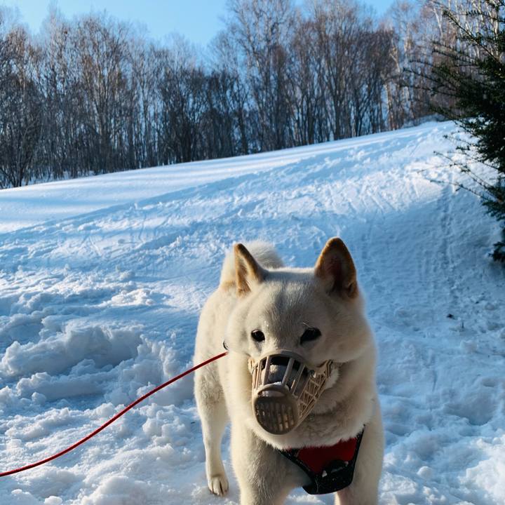 C518212f d802 447d 99f7 f0bb7db1fc94 1615243544789