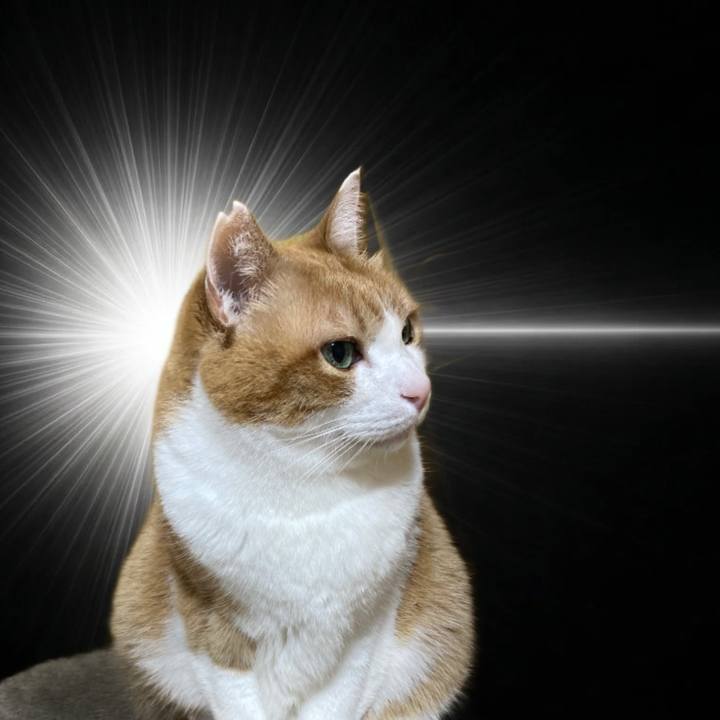 C518593e 2acb 45df aa05 2ac8248e7bb2 1775733910713