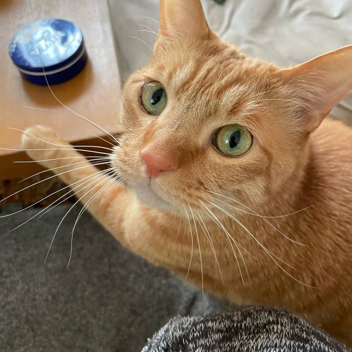 C5186524 83ae 4463 8217 9551bf1b835d 1648857674984