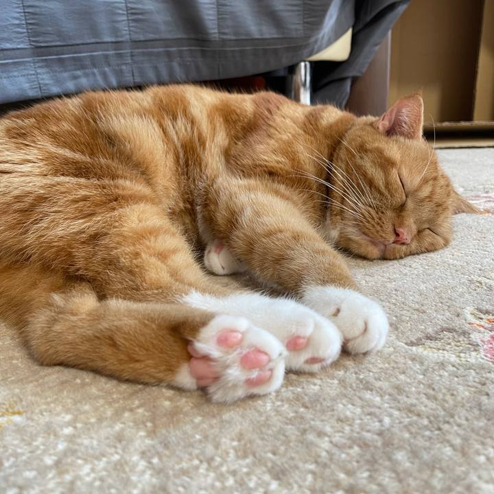 C51877f7 ce36 47b8 a576 a9b9b123dad0 1628576028105