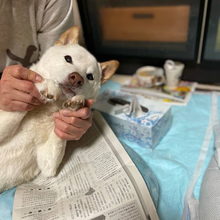 C51893b6 e5c3 4c05 94a7 cd70f0658223 1650727448537