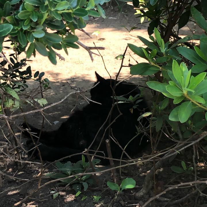 C51899f9 782f 4ae1 a03c b8d0020b8b2a 1570464704698