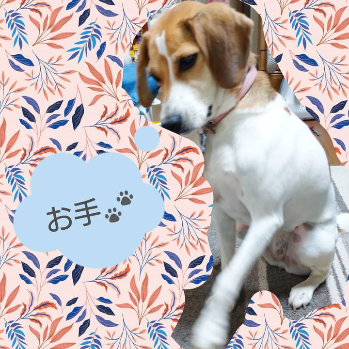 C518e327 8dd6 4bf2 8344 ab109df9976a 1599373178208