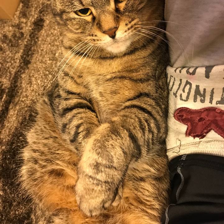 C5190080 3b00 4de5 95f3 d6482ac638e8 1543679872653