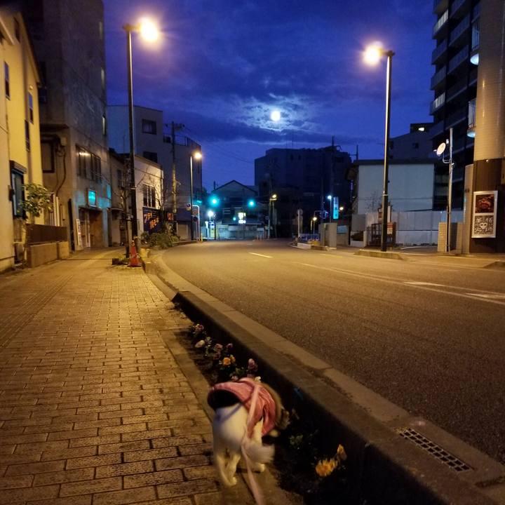 C5196f51 b6d9 414d ae20 156f3931778b 1576188558997