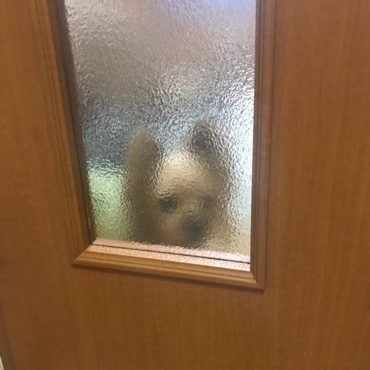 C5197d7e d3a6 49b3 bb23 be998133824b 1575793313758