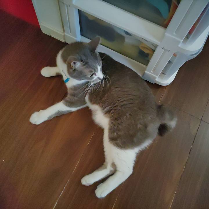 C5198f0a 9113 4b3f a37e d91d2d219bb1 1692137233058