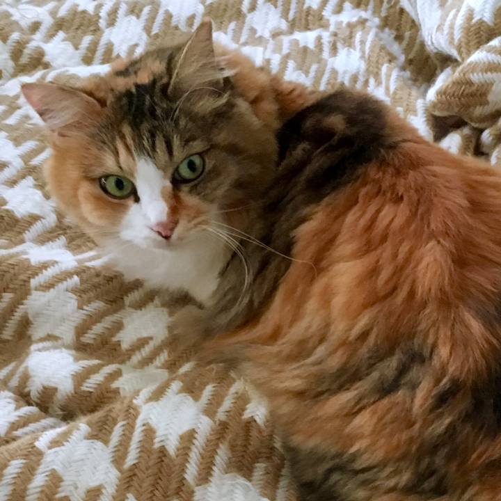 C519dc32 703e 4d85 bc14 951e01ab35ce 1567763187722