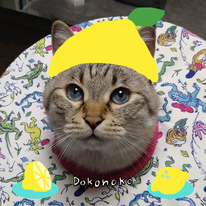 C519f565 0fc4 4938 9412 935ff78d3917 1741086766956