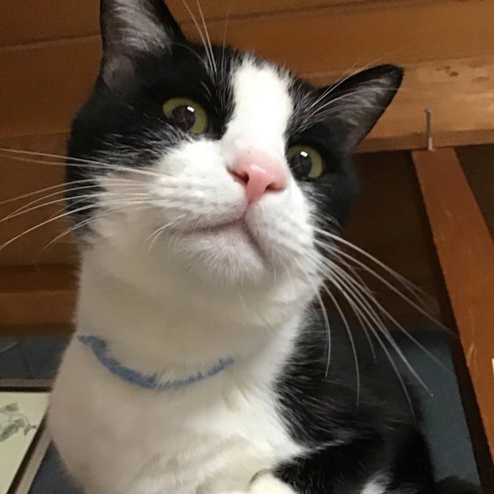 C51a235b a5ff 41ee 9e49 8685cde38dc1 1727597963101