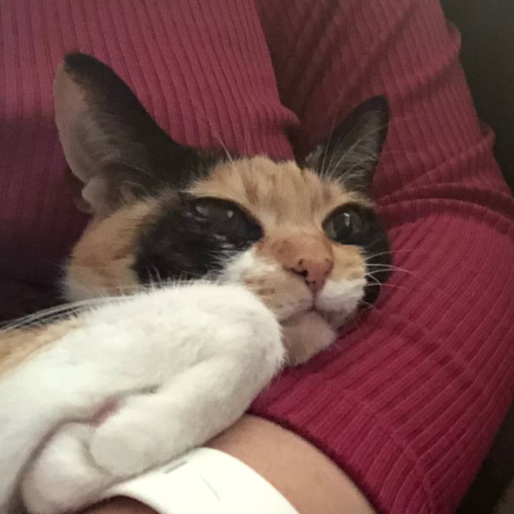 C51a8ed9 5f44 4c2c 8cc1 11d767e34152 1581815285138