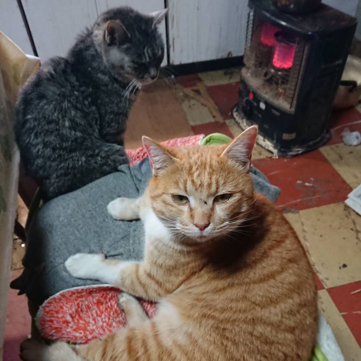 C51ac535 bbf3 4454 bca5 9de9d860c406 1579922861764