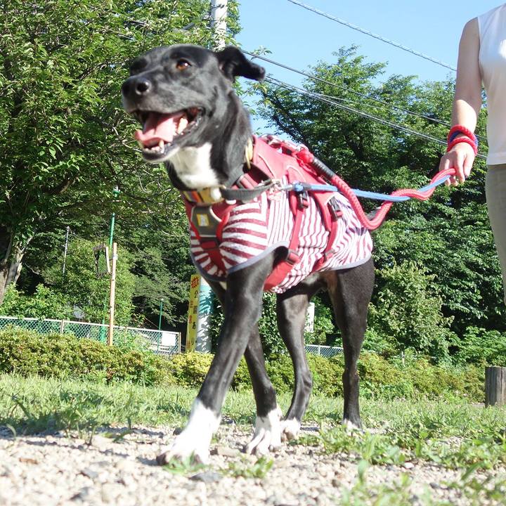 C51ae154 73bf 459a b442 09795b106f68 1592353981321