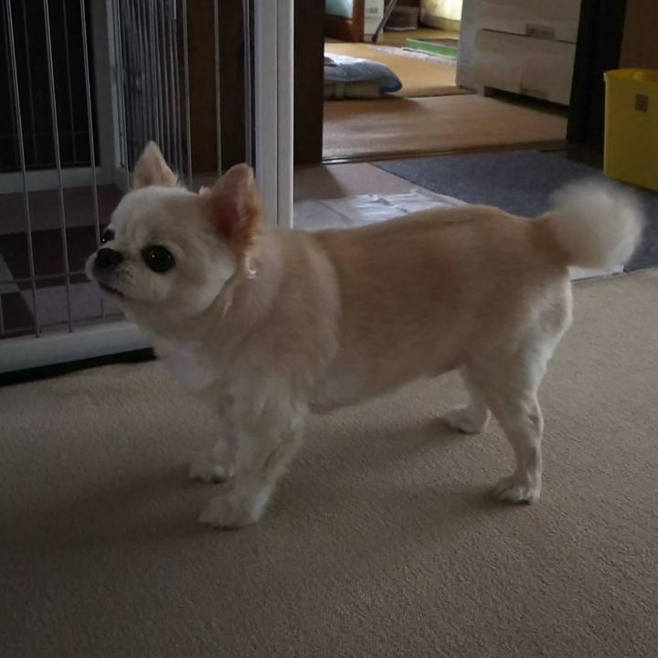 C51af119 404c 4981 aa91 2aa88d8b239c 1535784124083