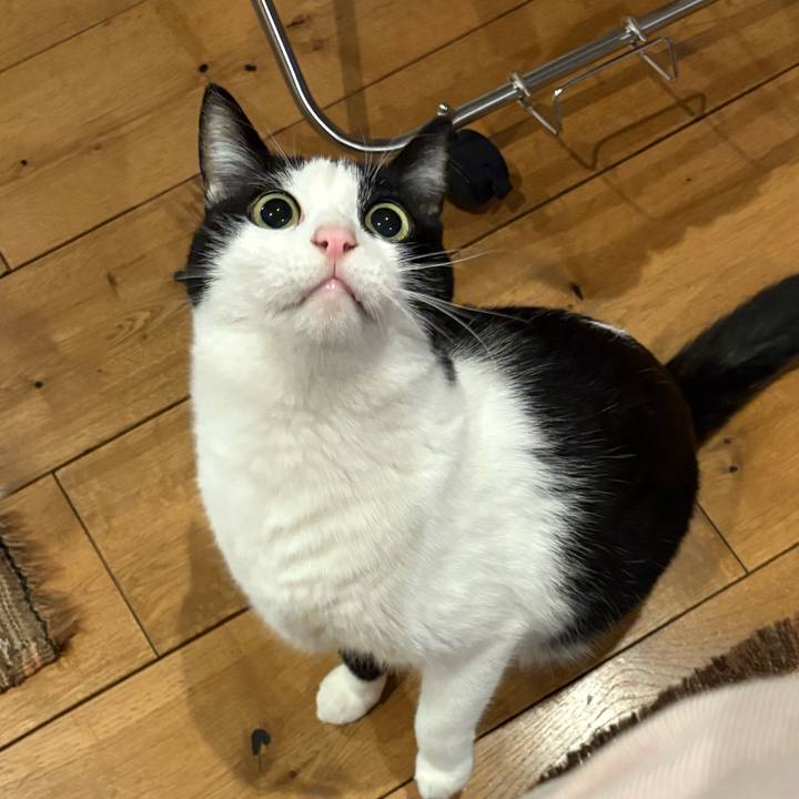 C51b25b5 476f 4039 b120 f06bd12ddcd8 1767995809760