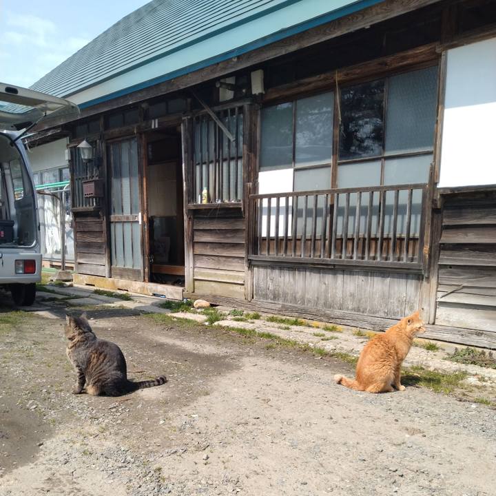 C51b4349 dfdd 4b79 b470 ab8480338b80 1743065885134