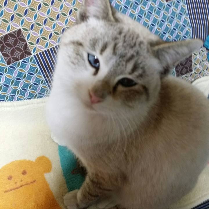 C51b4ea5 6857 471c 9ba2 7c8ef4aee170 1515062290056