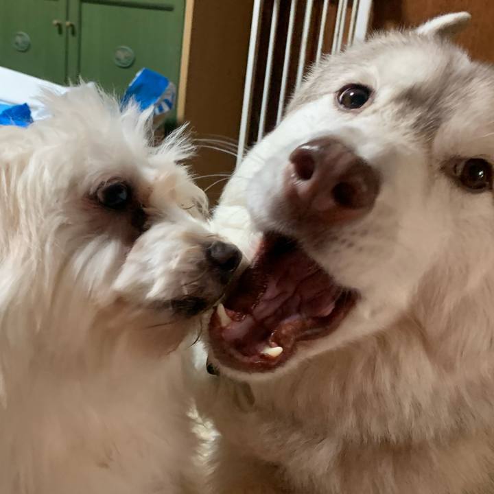 C51b6bf1 276a 48ca ad31 d492aa6faf9f 1708257568711