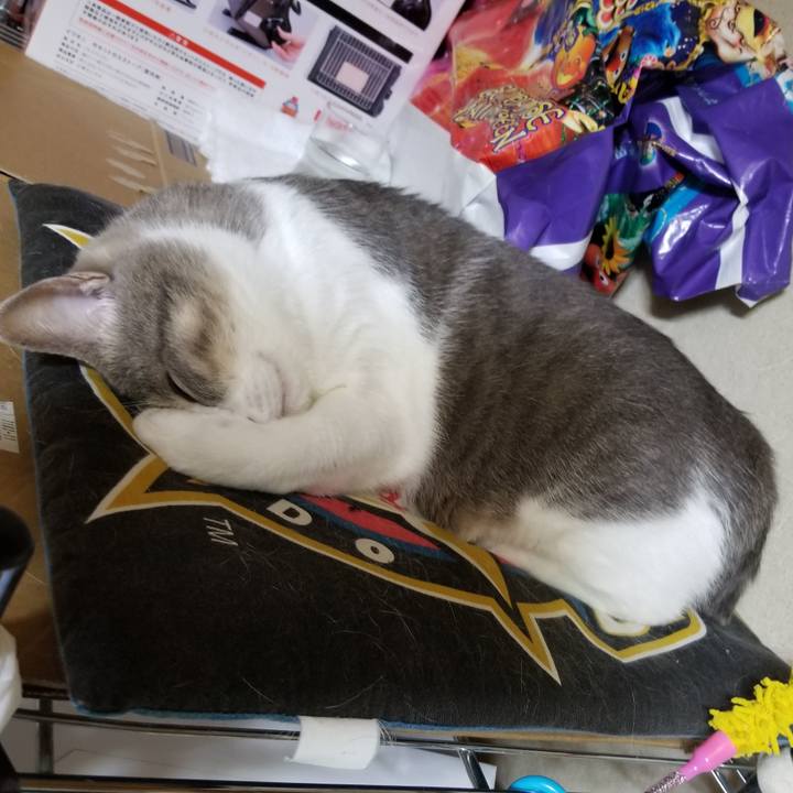 C51b6c1a 4f4a 4840 970c 092b95dd6826 1613995741311