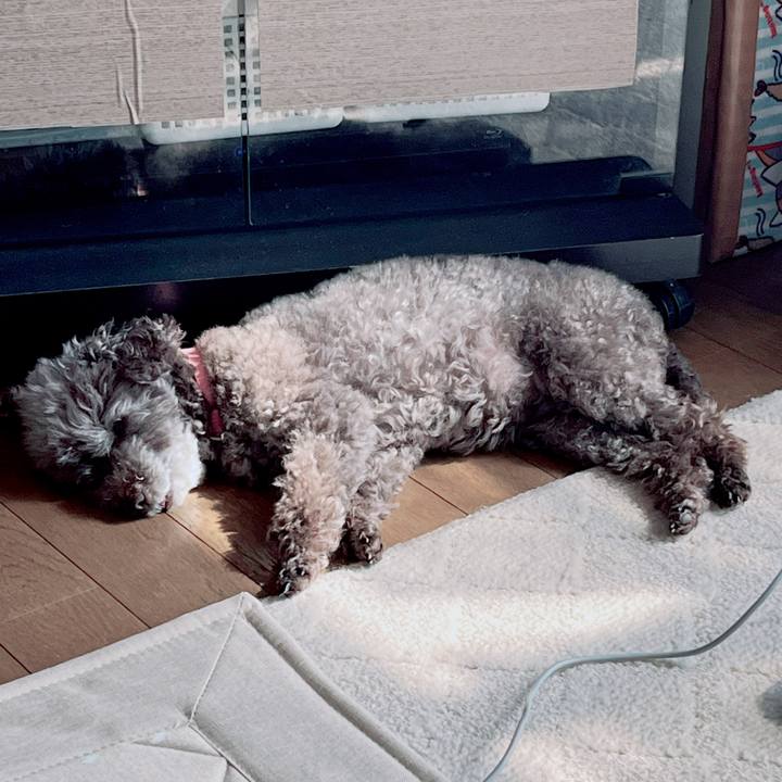 C51bdb19 9e9f 4229 b3a9 4fce83fc8dd8 1726636690944