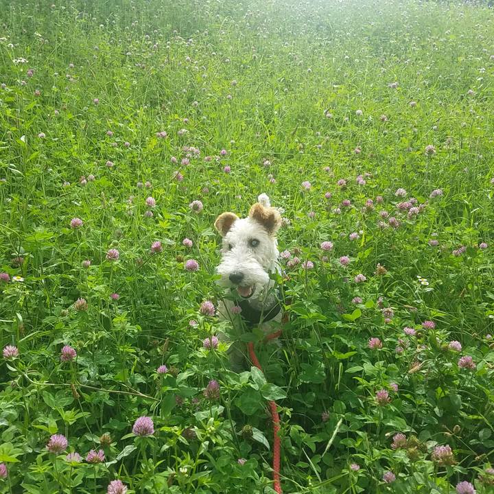 C51be136 ca20 4397 9d64 e5e210804d1e 1592641328575