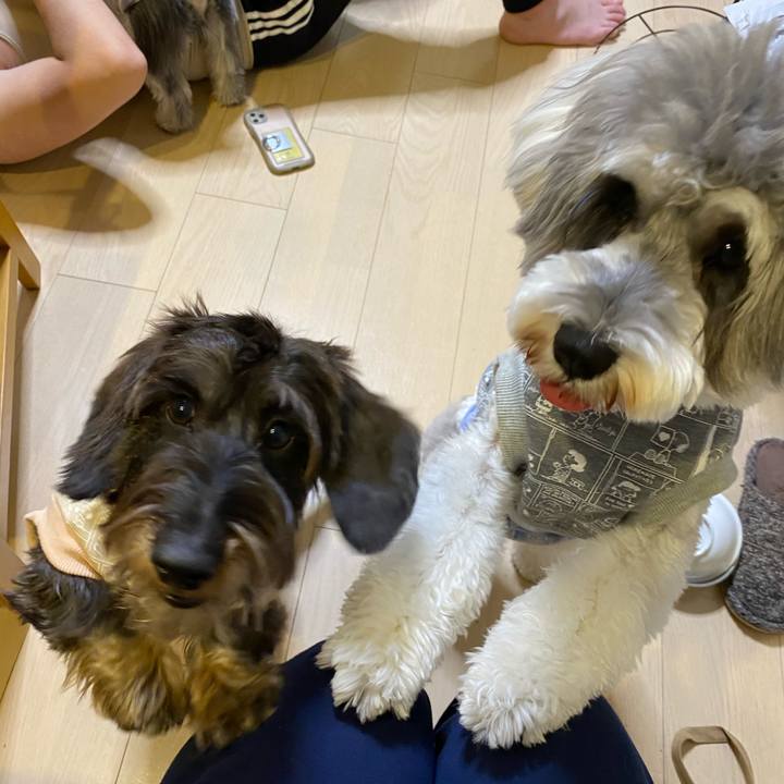 C51bfa09 a05a 45be a5bd bc67087c660c 1609517688359