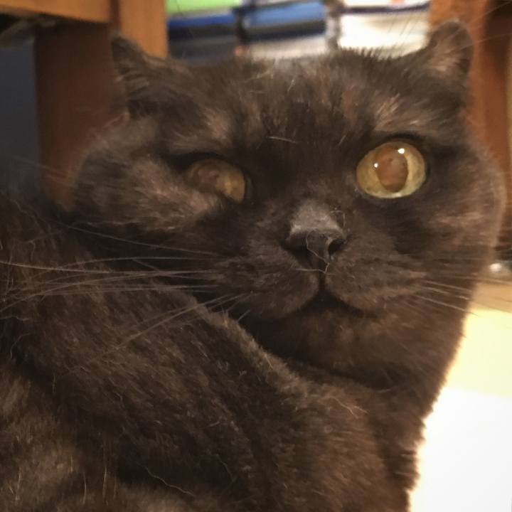 C51c10b6 4875 4392 8a49 15301b65934a 1537445888200