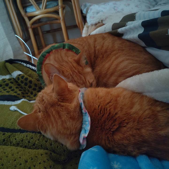 C51c2b17 baba 4631 a060 9a2cf072cafd 1643841498366