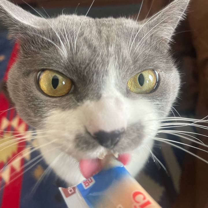 C51c30d8 689d 4df4 8cf5 53859d3014ea 1673072488193