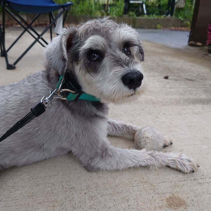 C51c384f 8551 4249 9de6 6101191fa708 1757720763551