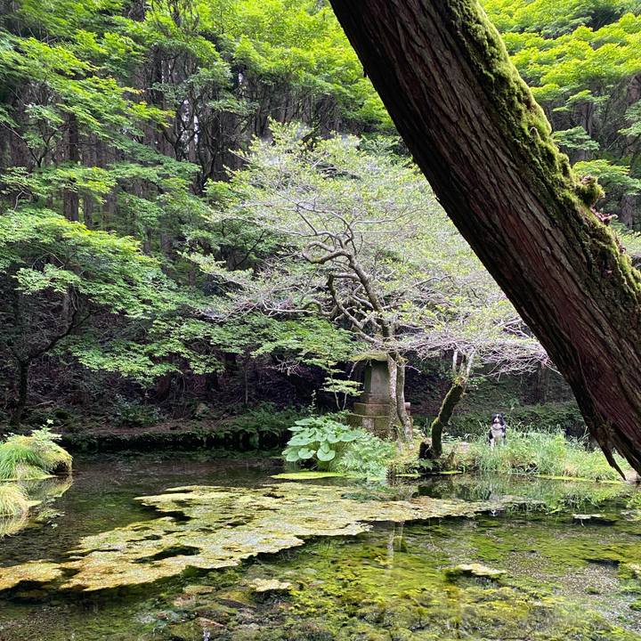 C51cc8dc 978d 424c acd7 20863b16ca48 1624278696062