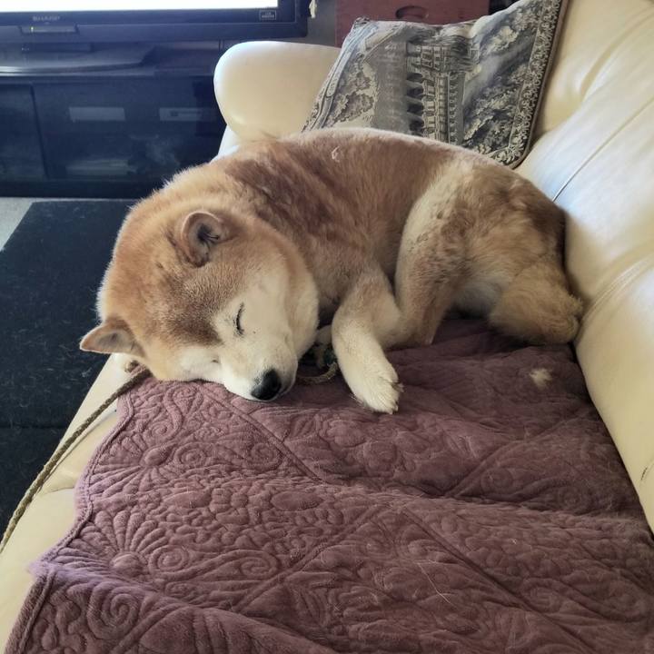 C51cec30 32c3 4cea afef 70ac6bfc4194 1718681054107