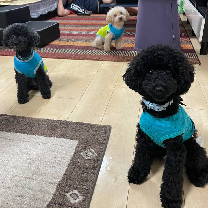 C51cf669 89e1 47d5 9b9b dad290f8bf5c 1689809786659