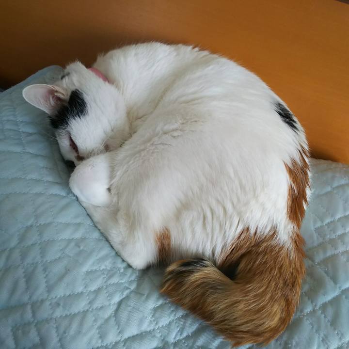 C51d7d00 6c64 4395 b3c7 c1056768b005 1528595519509