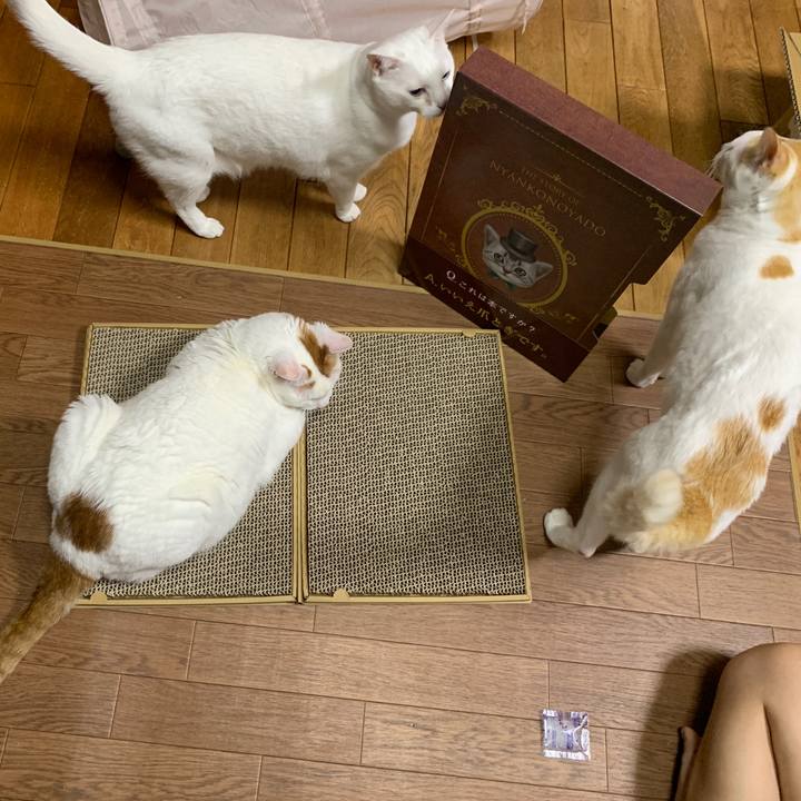 C51da965 d4bf 4c50 943f 399eb5848ddb 1648299526667