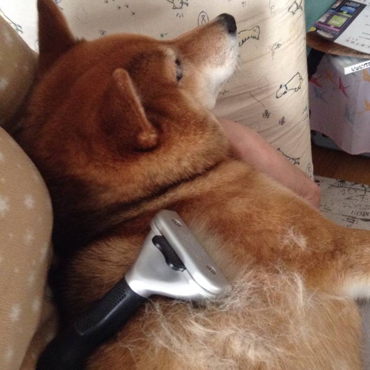 C51df3e4 aa82 4ea4 b7be 360eeb36711f 1520833566938