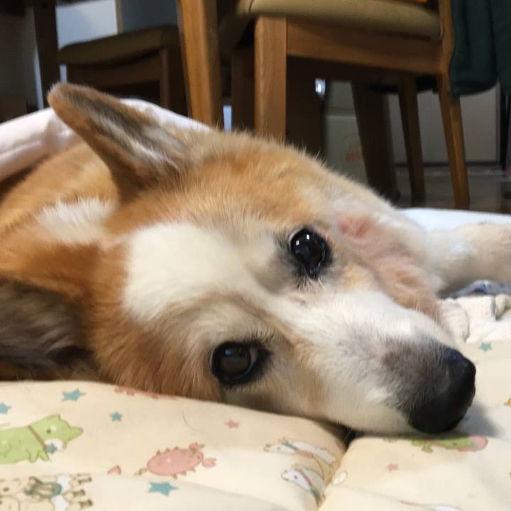 C51e0b65 e886 4e9d 95a3 de619841327a 1575011138799