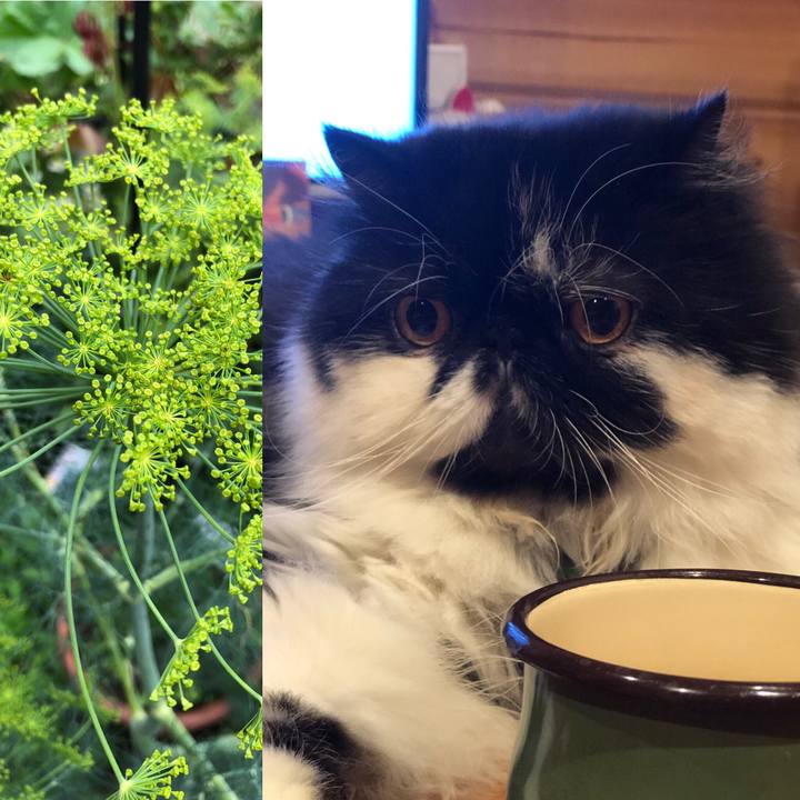 C51e54f6 2c72 4274 9606 3314141881fb 1559477966338