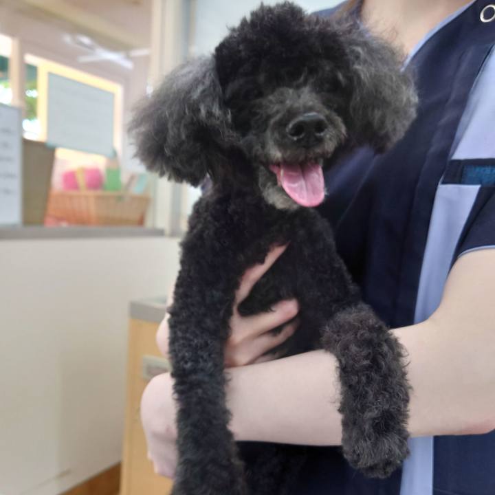 C51e5c13 0d17 438c 9c5e c6930cbb6023 1757653722999