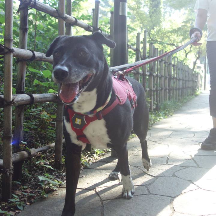 C51e88f0 72db 4a3f 8697 339db9426c08 1694561927146