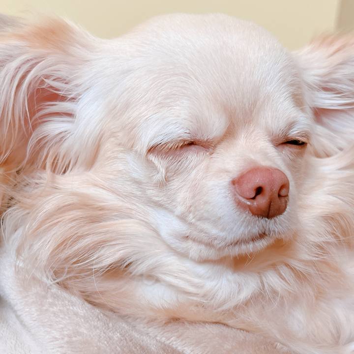 C51e8b14 6654 4af5 acad 7c637622f37d 1653211875143