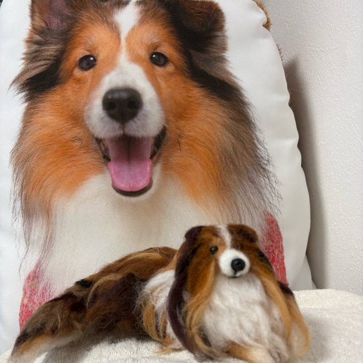 C51e91e8 3c4c 4ed1 9f44 f6de761afca5 1754824298230