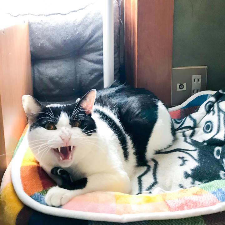 C51eaa6e 03bd 46f9 9175 60c64c9e9ef8 1510927253328