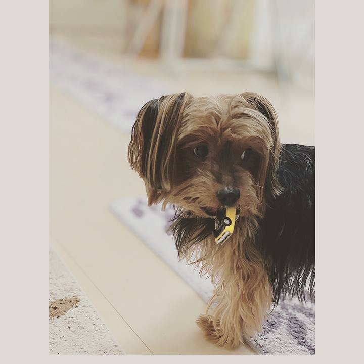 C51ec008 039b 4479 928f e19b6df8acfe 1552536875107