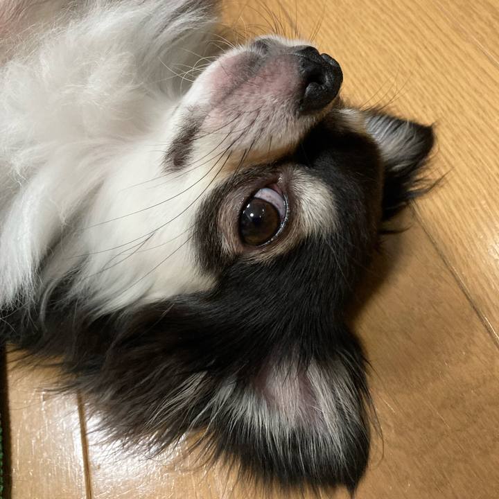 C51ecc23 8870 4fe6 9533 a470645a9cb0 1662817336664