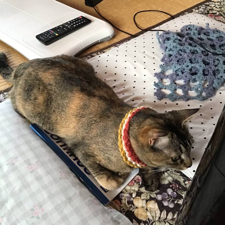 C51eec8a 18c3 4522 90f9 d6d134a726c0 1622248478942